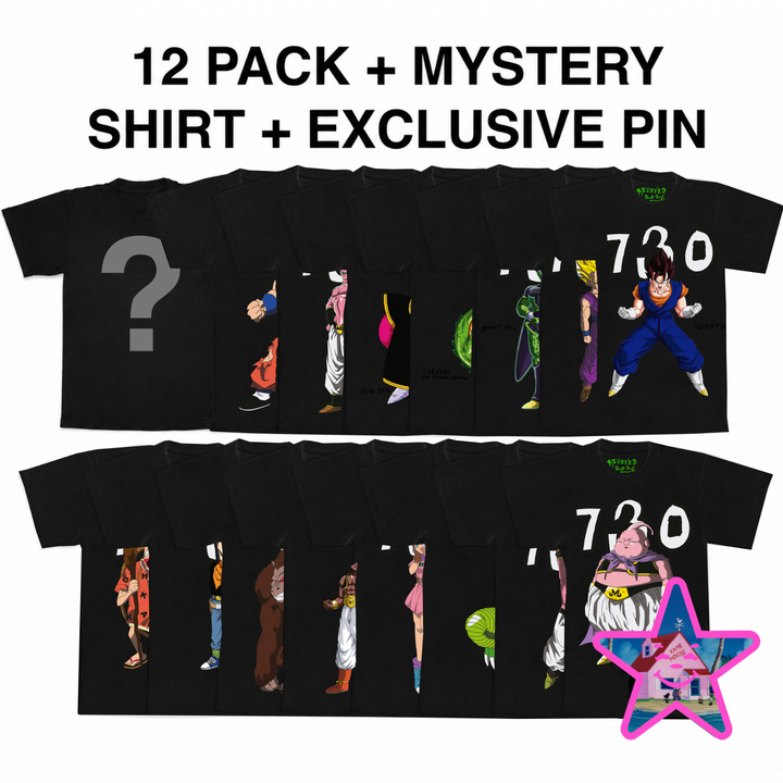 DRAGON BALL FRESH BLANK SHIRT (12 PACK)